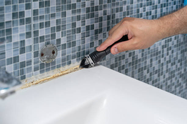 Best Mold Damage Repair  in Deer Park, TX